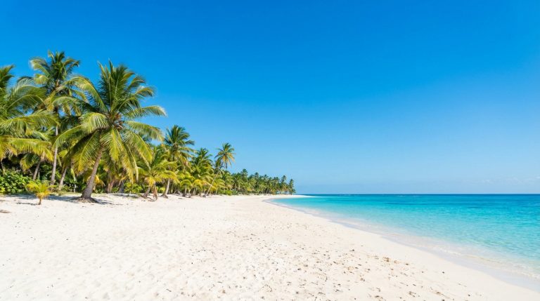 Longue plage de sable blanc bordée de palmiers tropicaux, avec une mer turquoise cristalline et un ciel bleu éclatant.